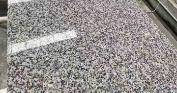 随州 芙蓉白光面