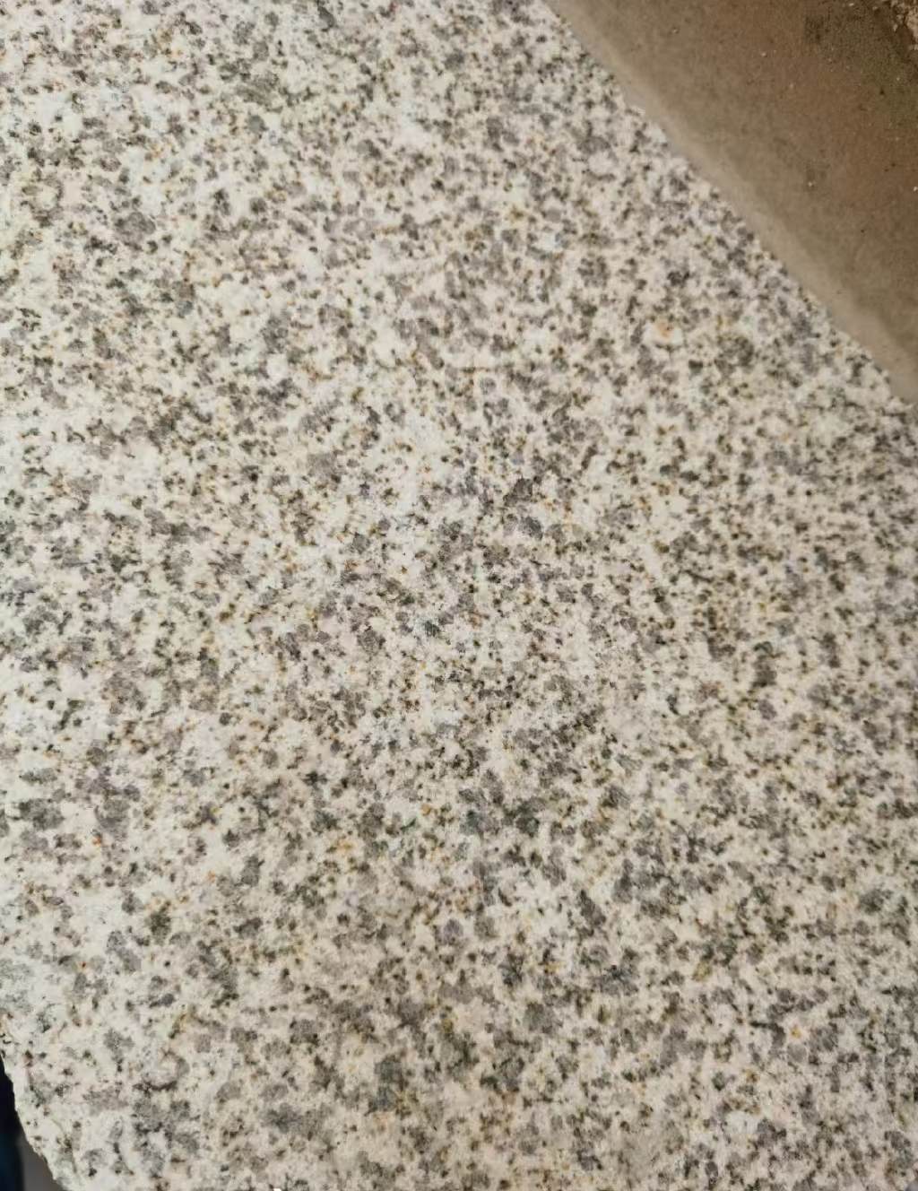 随州 黄金麻中黄光面