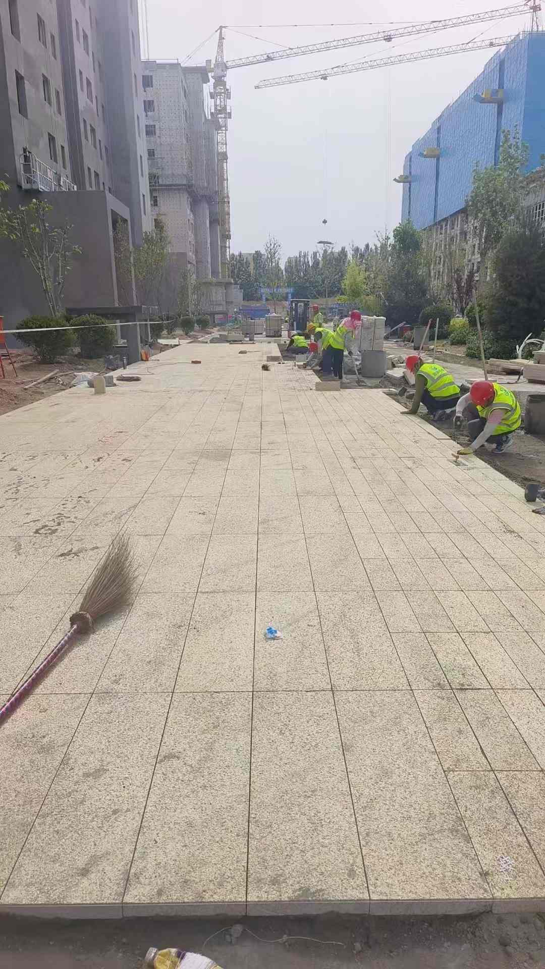 随州黄金麻荔枝面地铺案例