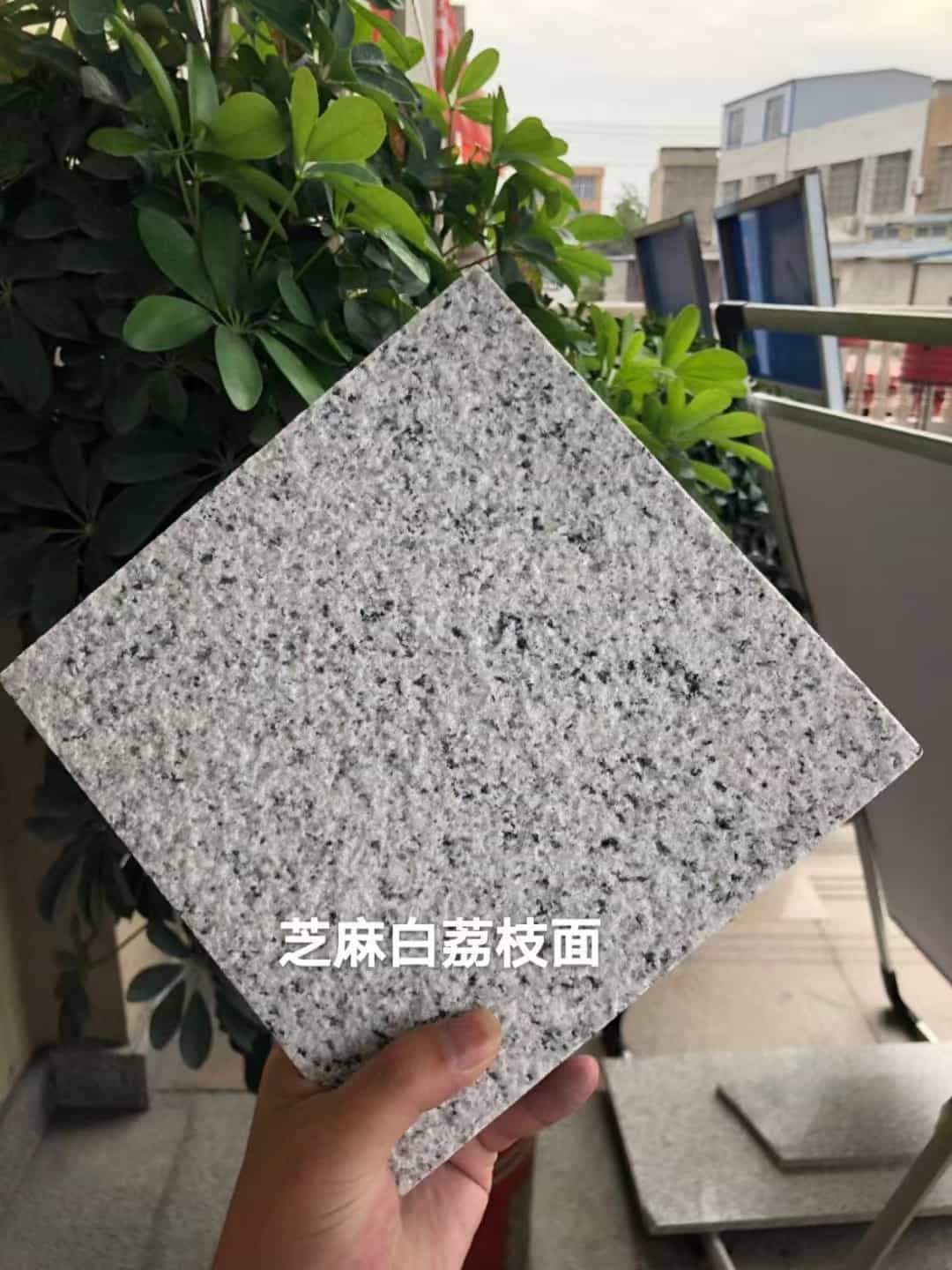 随州 芝麻白荔枝面干挂